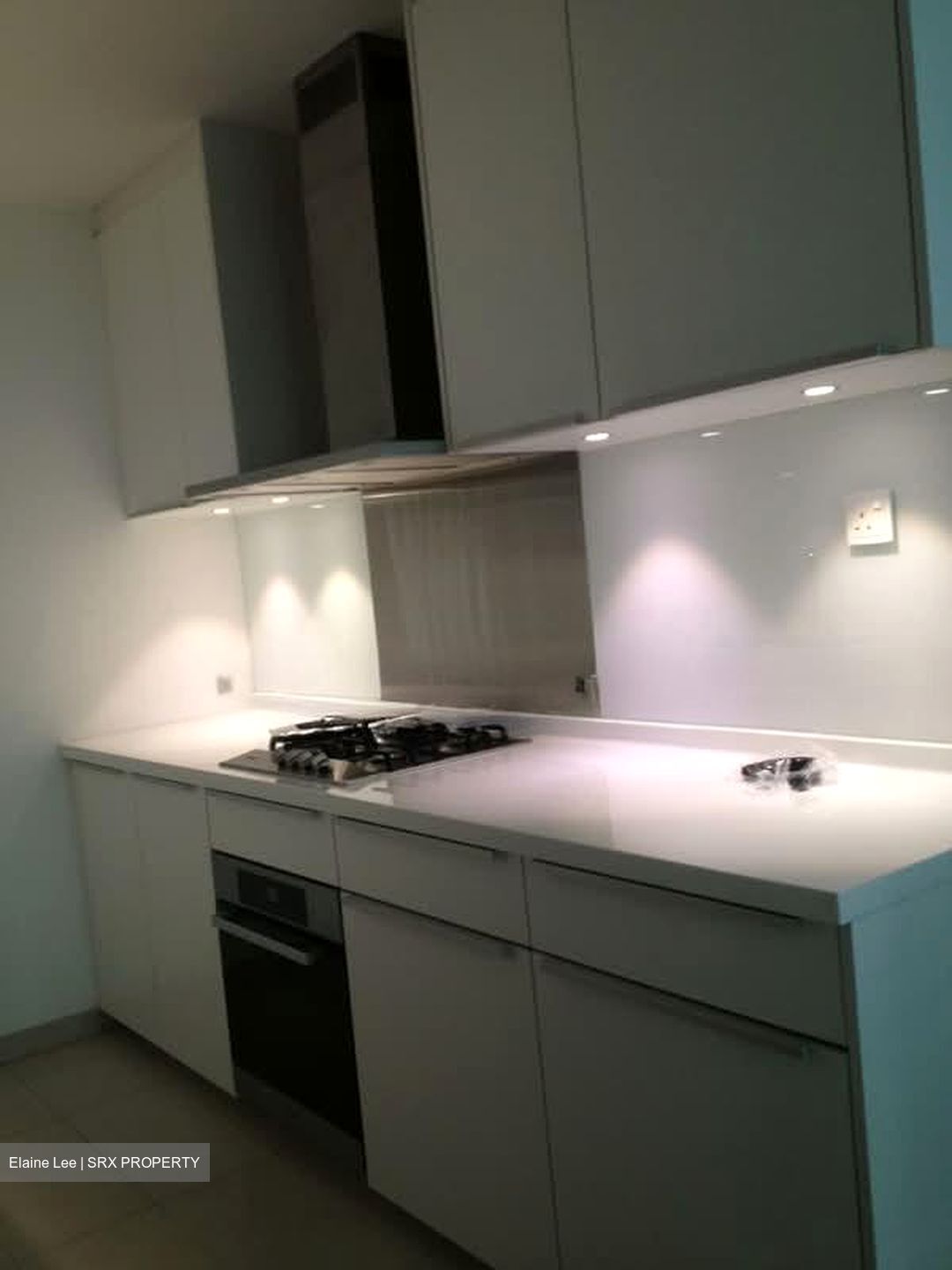 Trilight (D11), Condominium #566213451